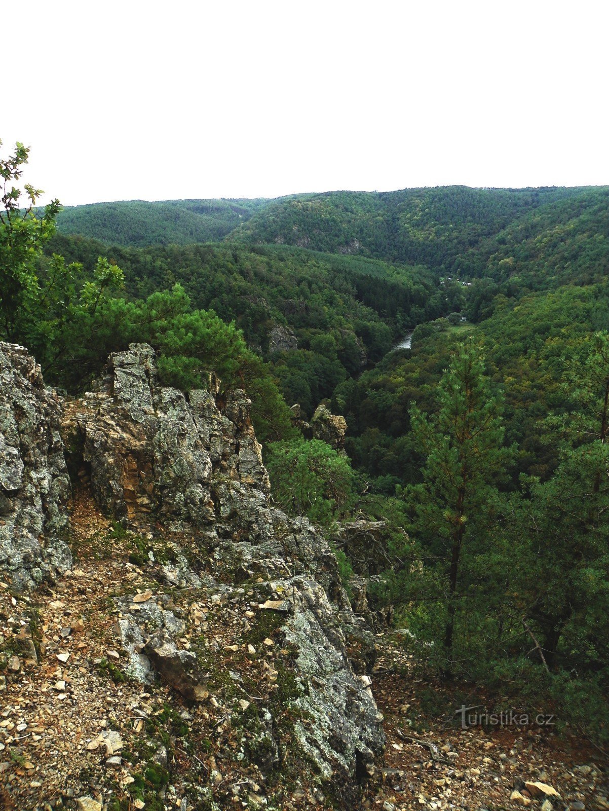 Pogled z Velike race navzdol