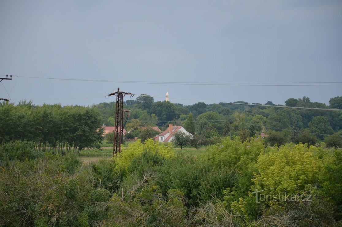 View from the tower to the minaret