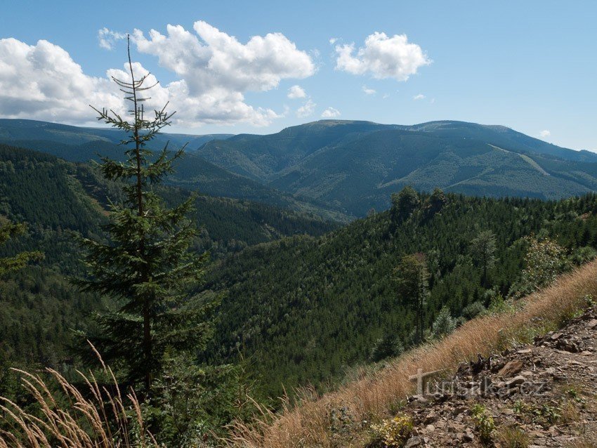 Blick vom Wasserweg auf den Felsen und Dlouhá strána