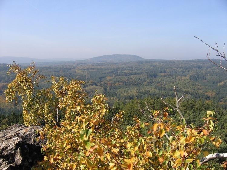 Uitzicht vanaf Vrání skály - Křivoklátské lesy