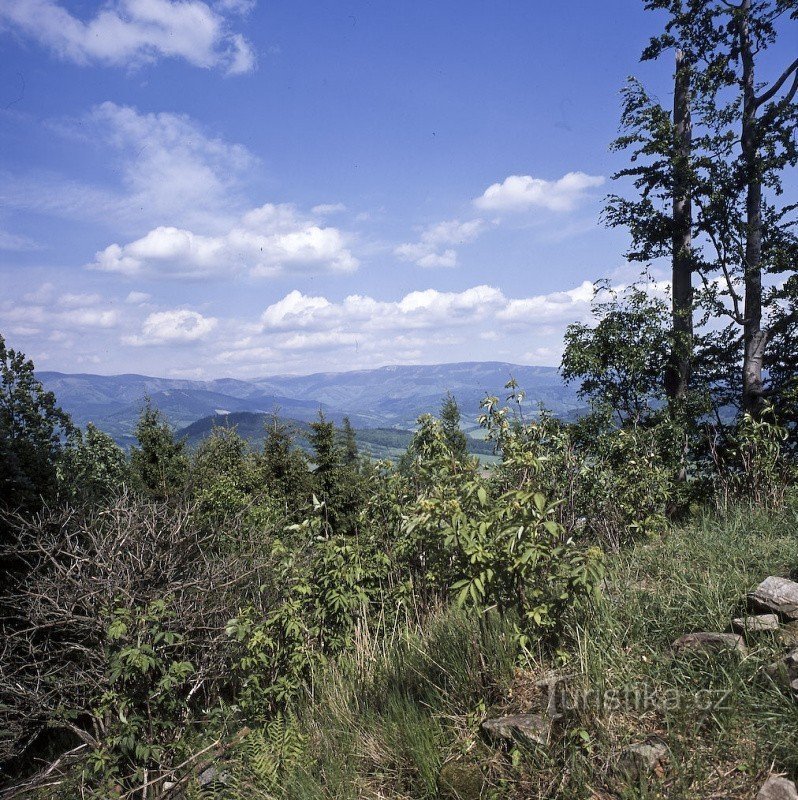 Vista desde arriba 2003