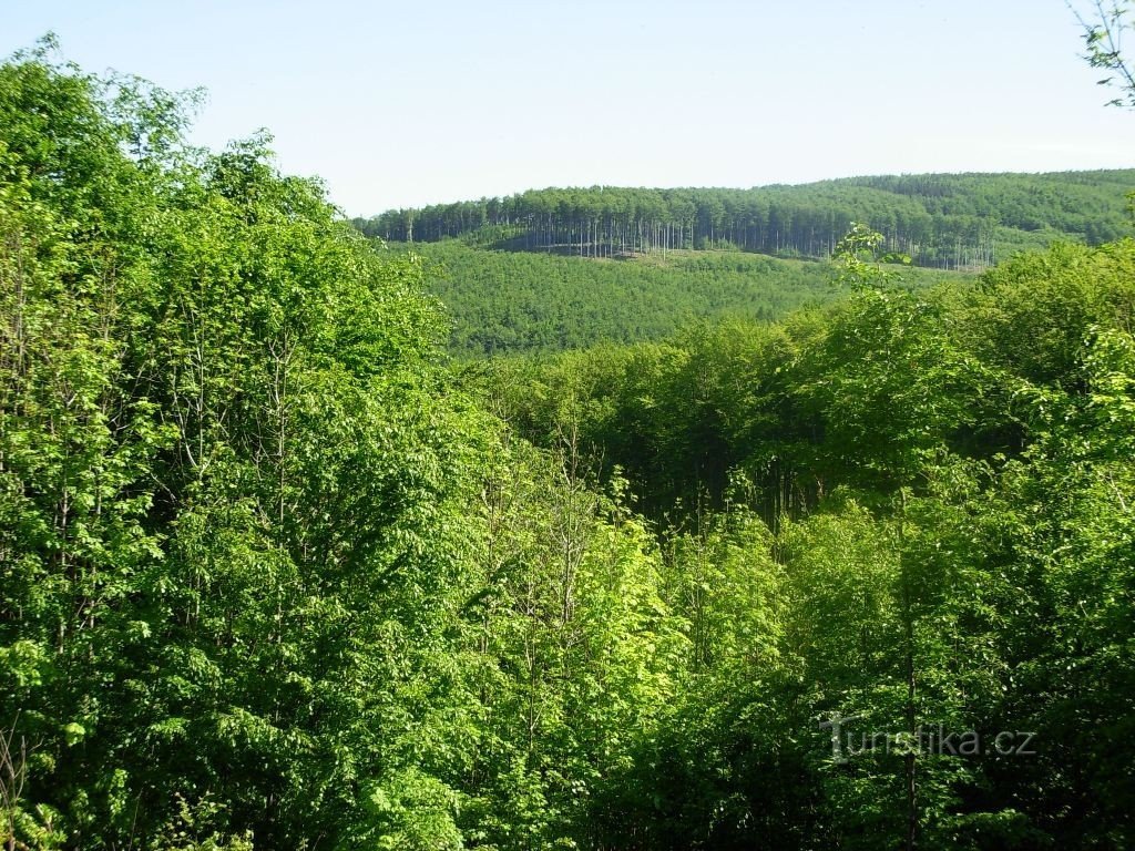 Vista in direzione ovest dall'incrocio di Vadová