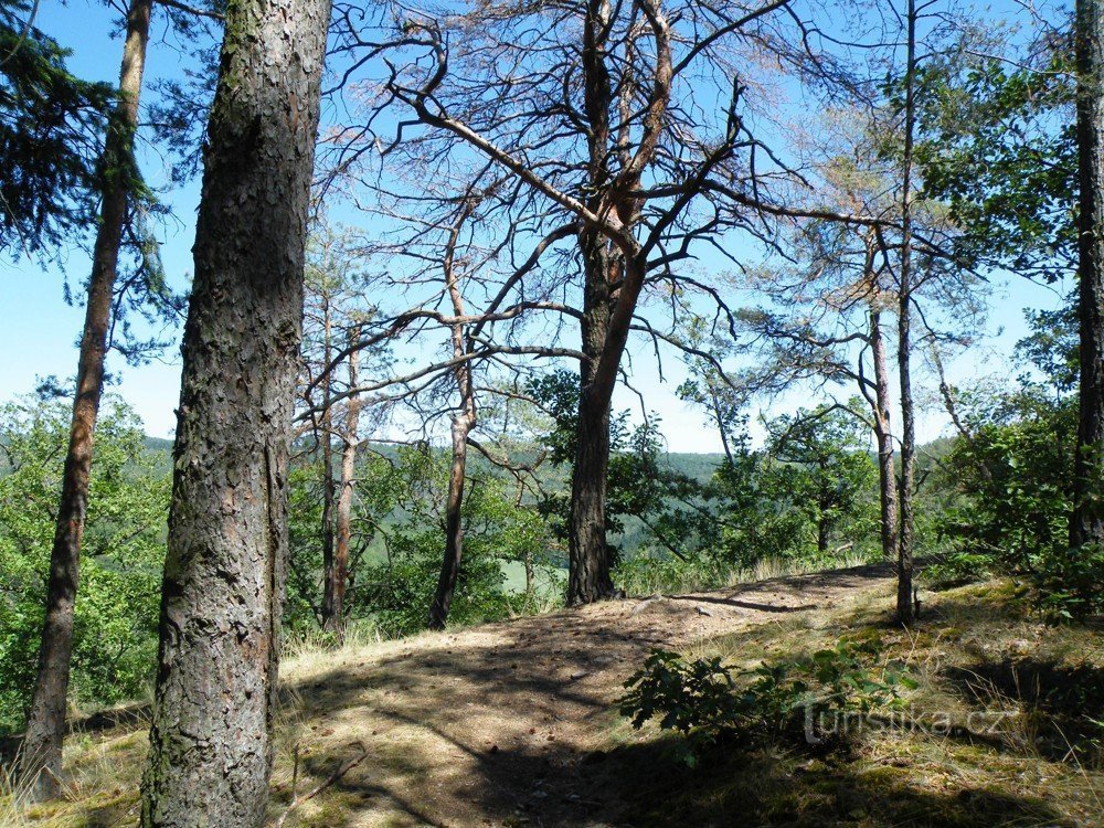 Vue depuis la montée au Grand Rocher