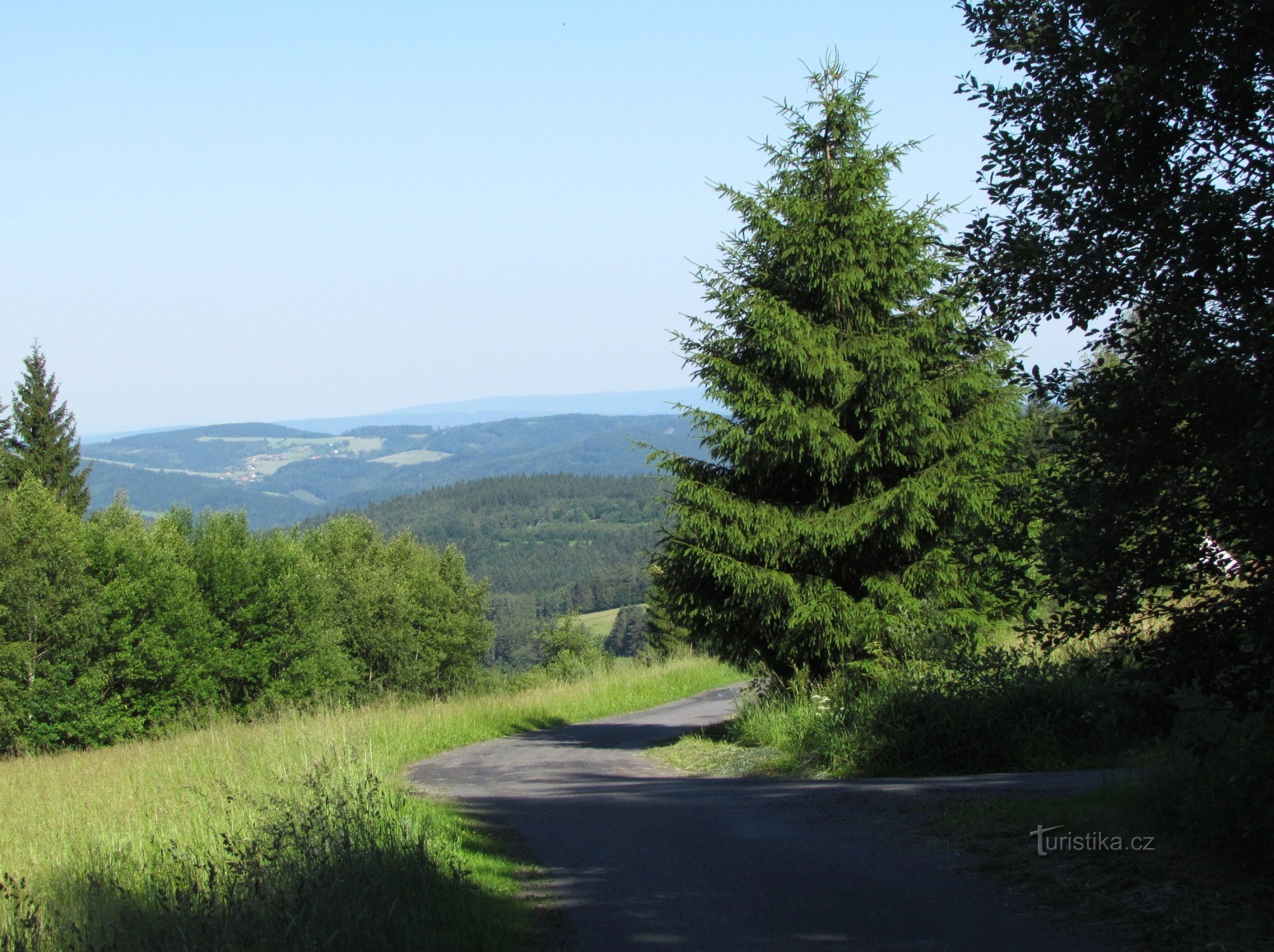 calea perspectivei