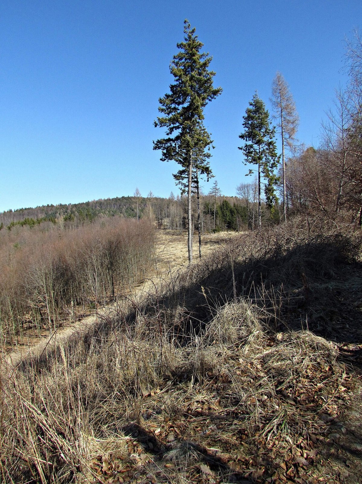 Lookout point behind Oberský