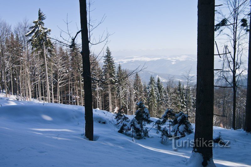 Views of the Jeseníky mountains