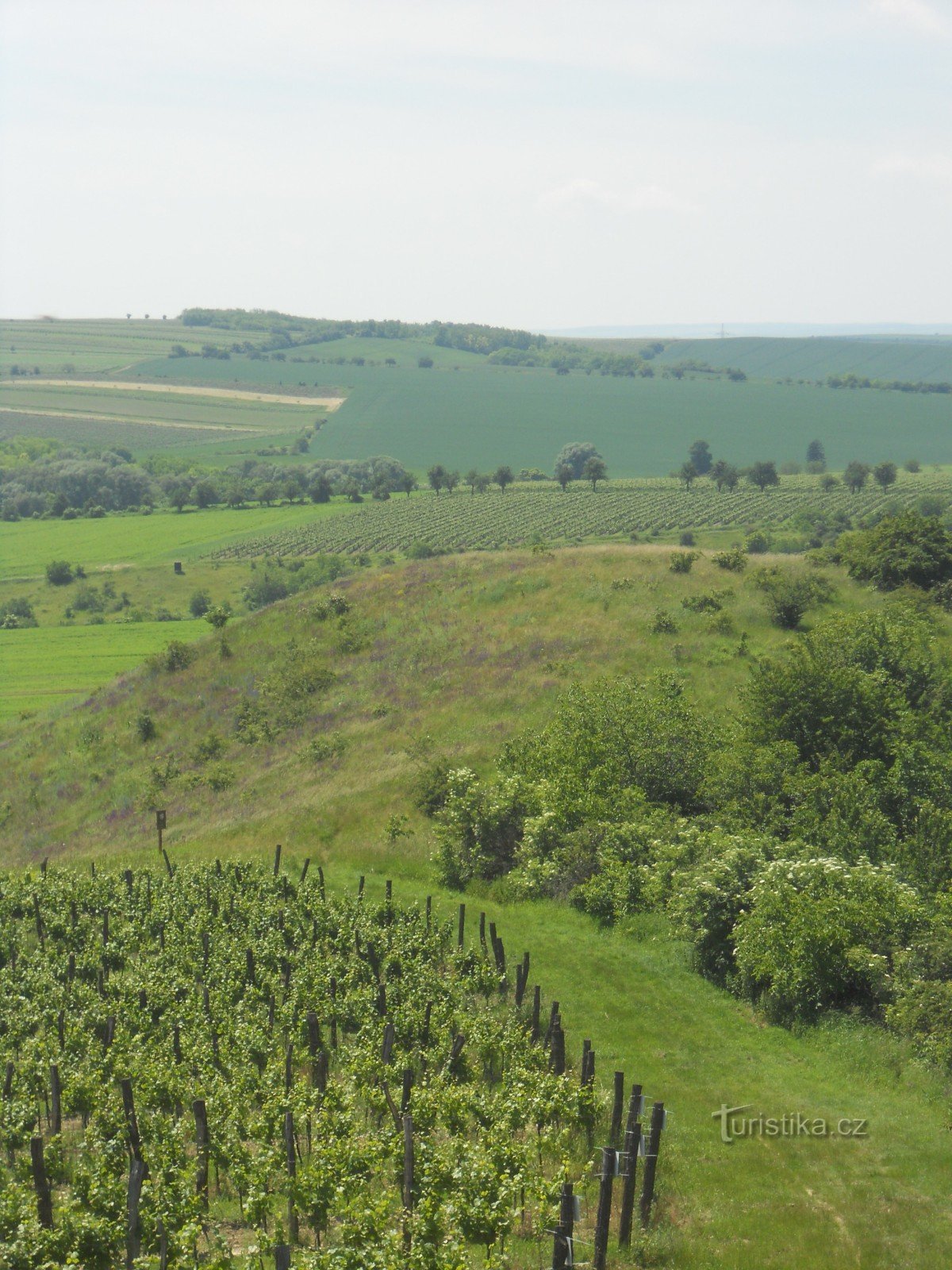 vistas desde el castillo