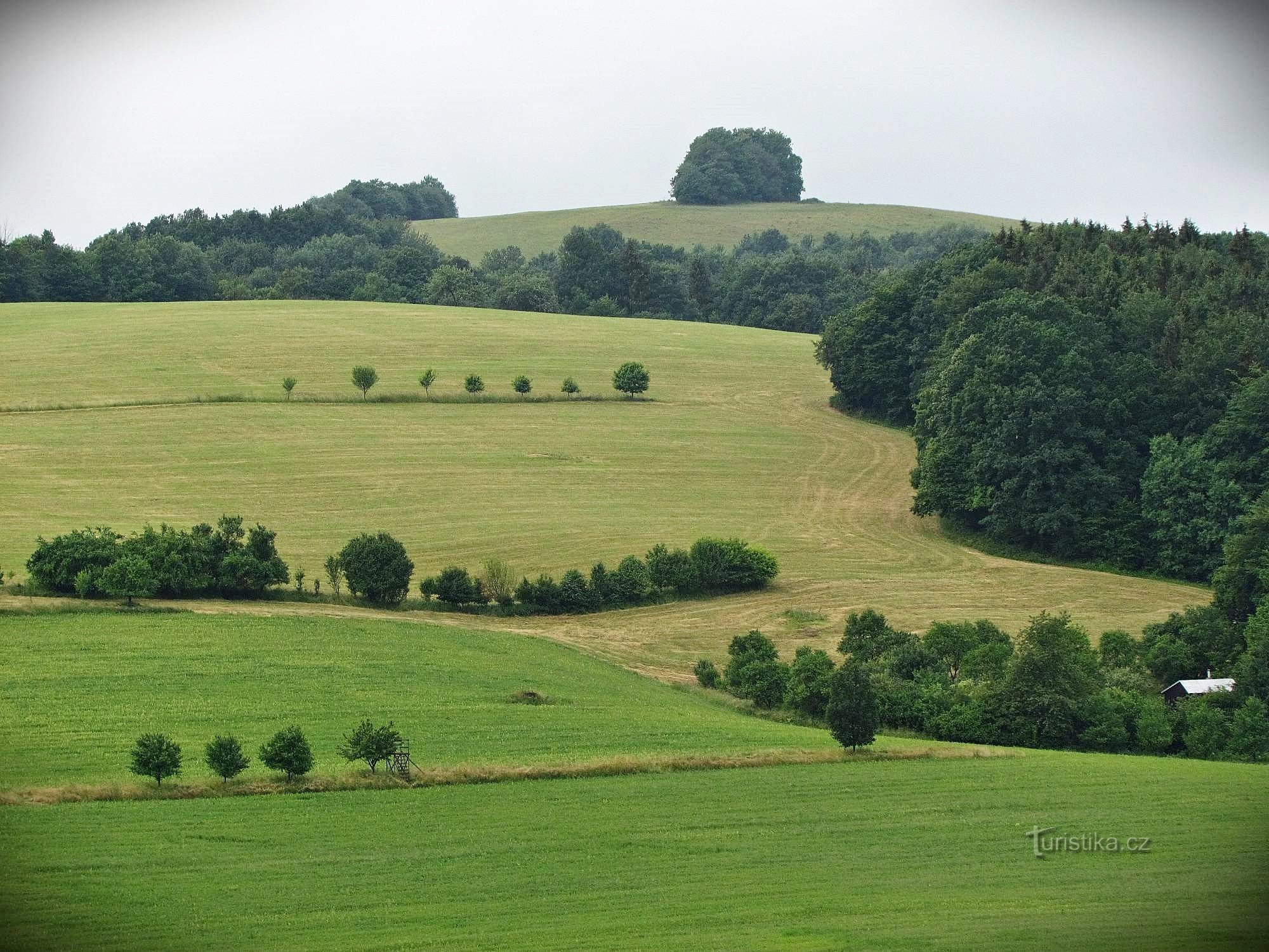 Vistas desde la colina de Březová