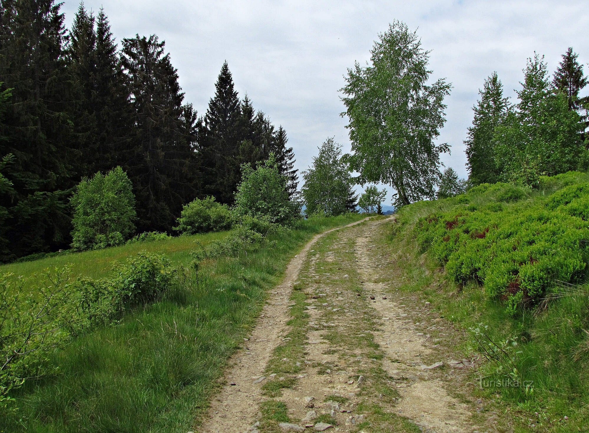 Views beyond the crossroads at Polana