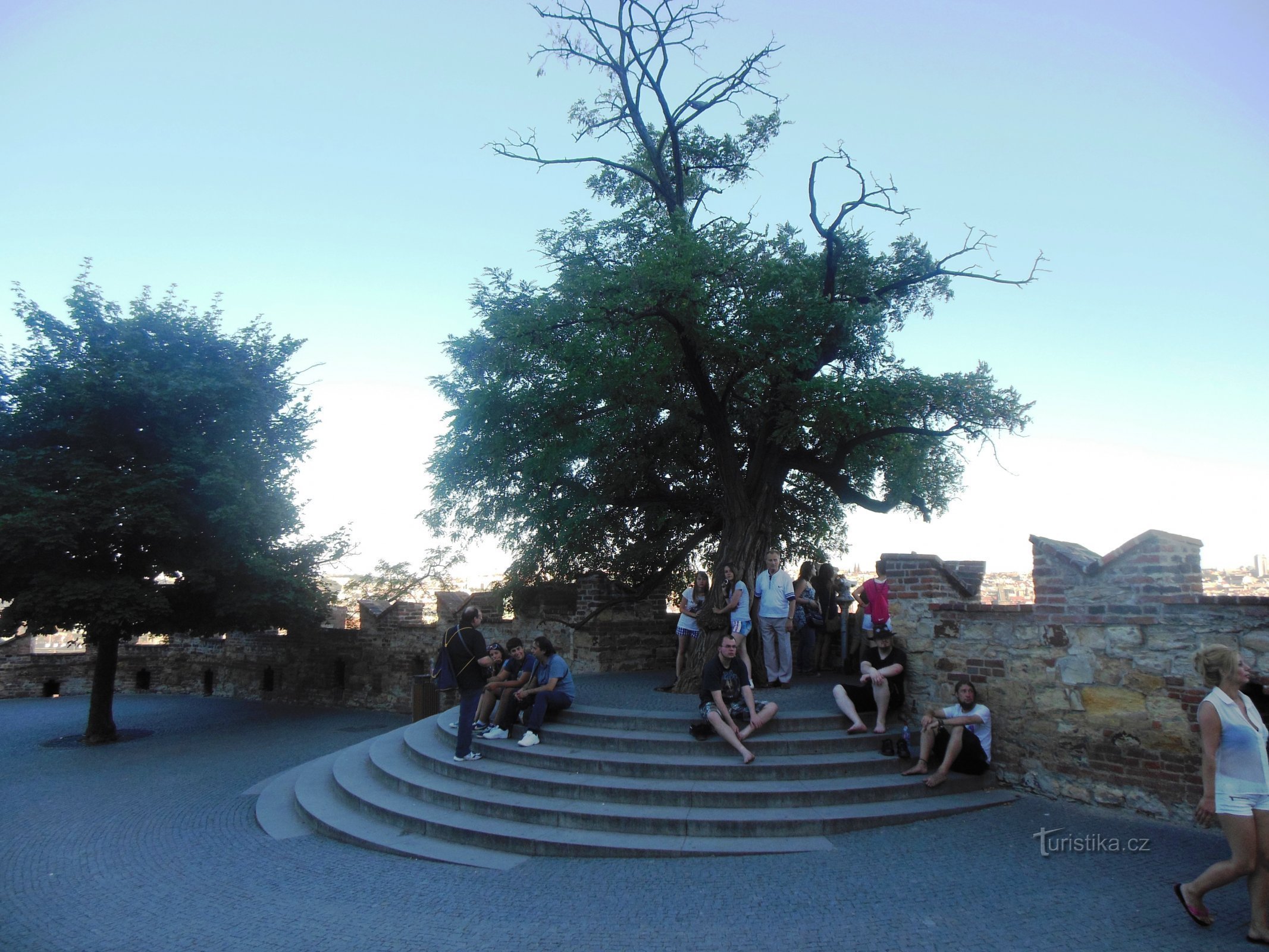 terrasse d'observation au-dessus des escaliers du vieux château