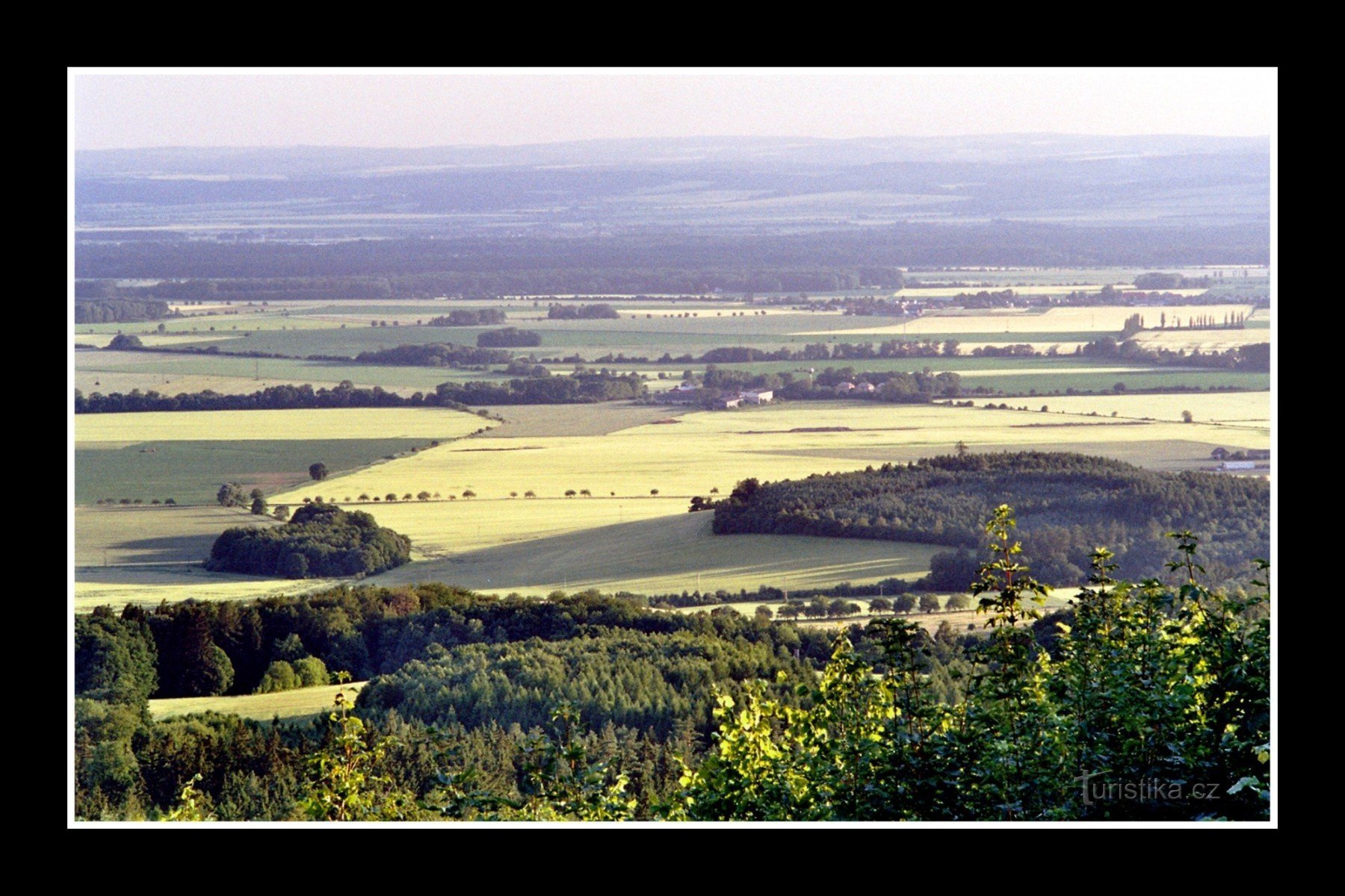 Pogląd