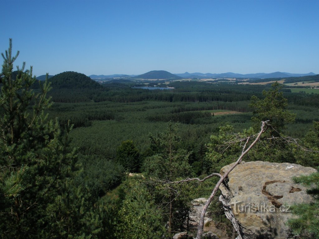 Pogląd