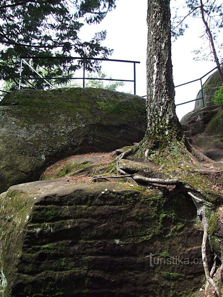 Point de vue de František Kinski