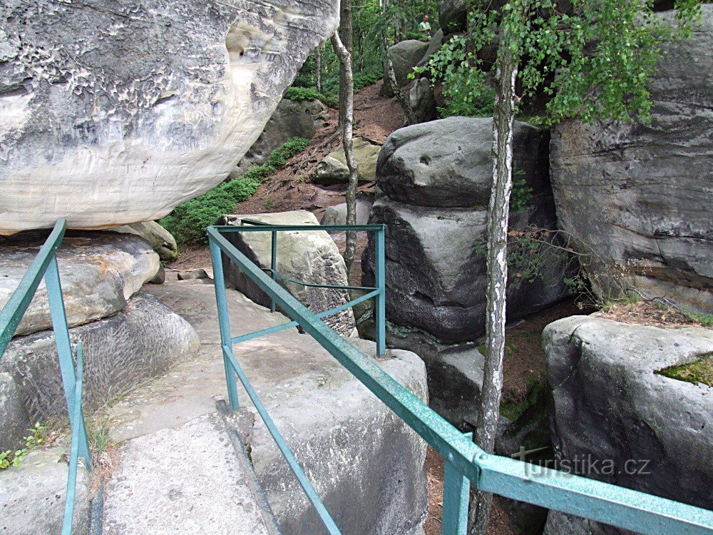 Mirador ¿Dónde está mi casa?