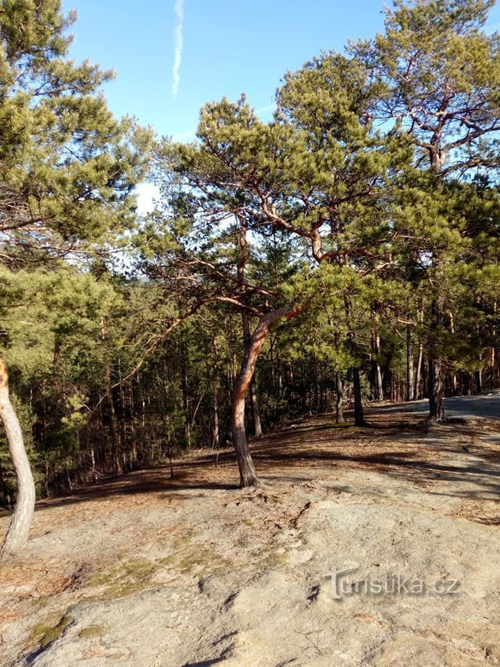 Θέα από την καρέκλα του βασιλιά