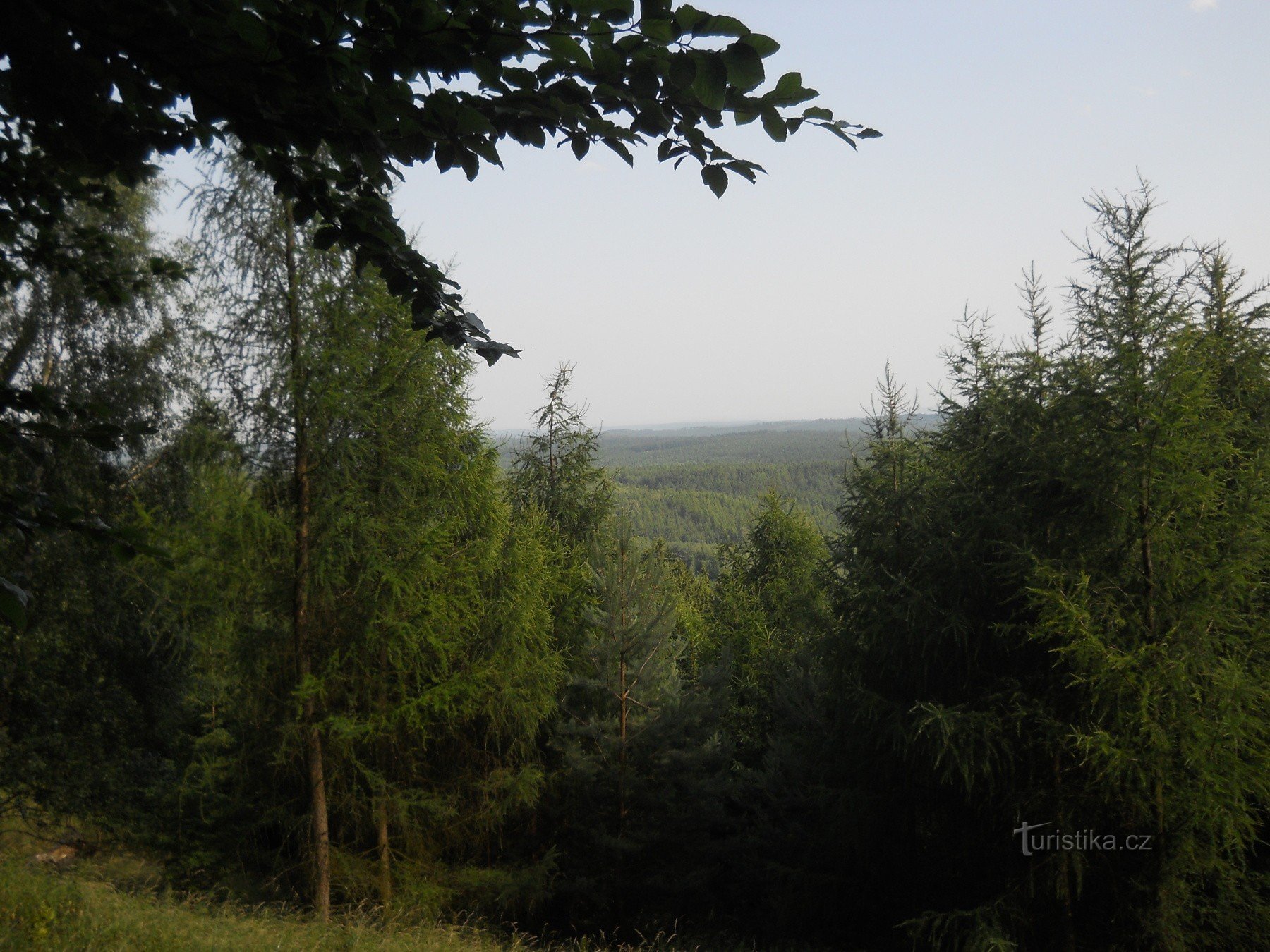 Punto di vista di Loustin