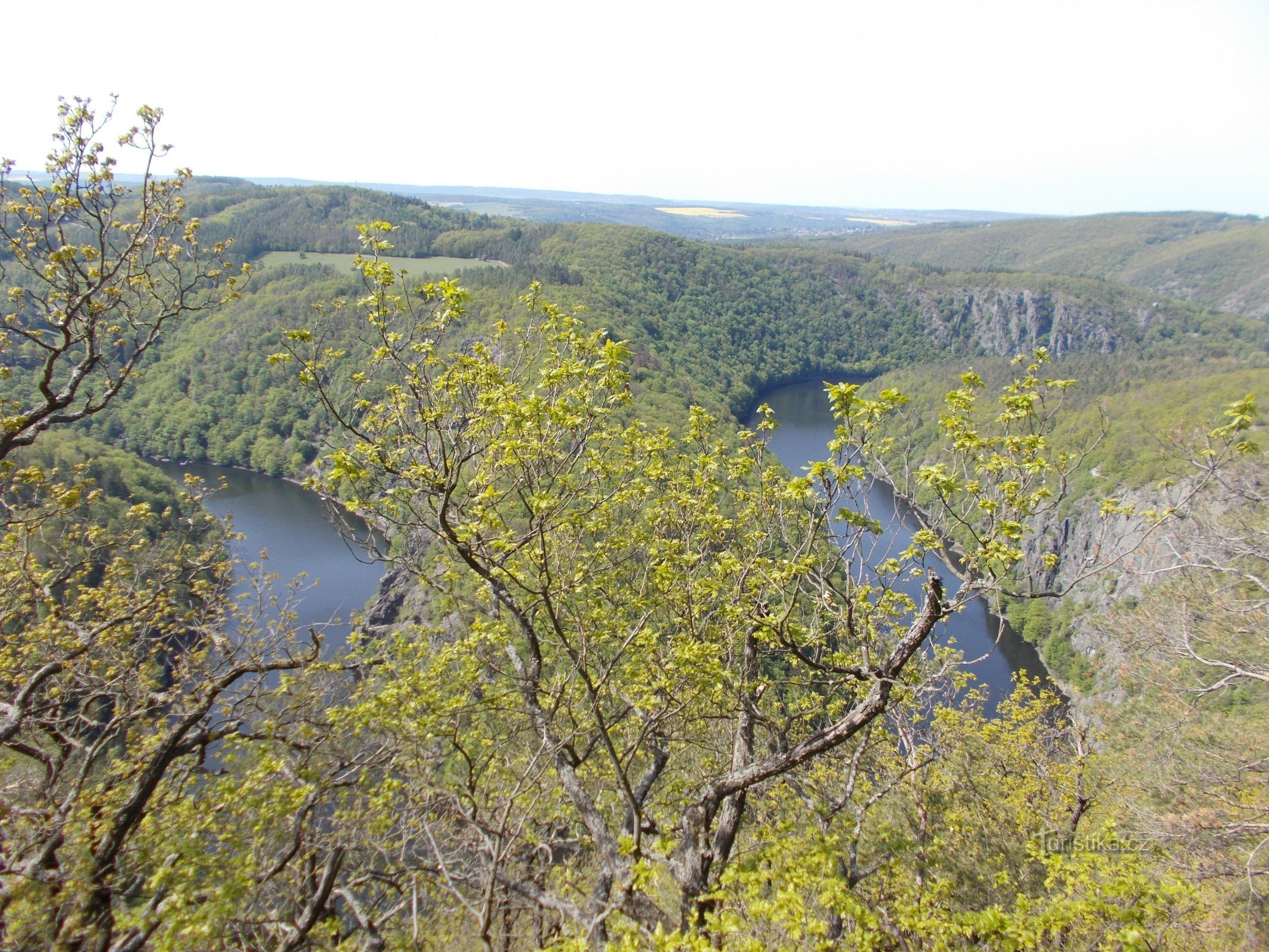 Prospekti toukokuussa