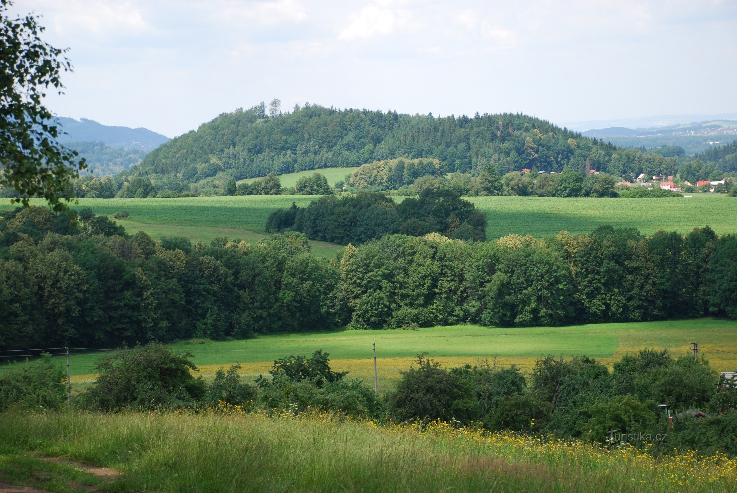 Widok na łąki Janovice