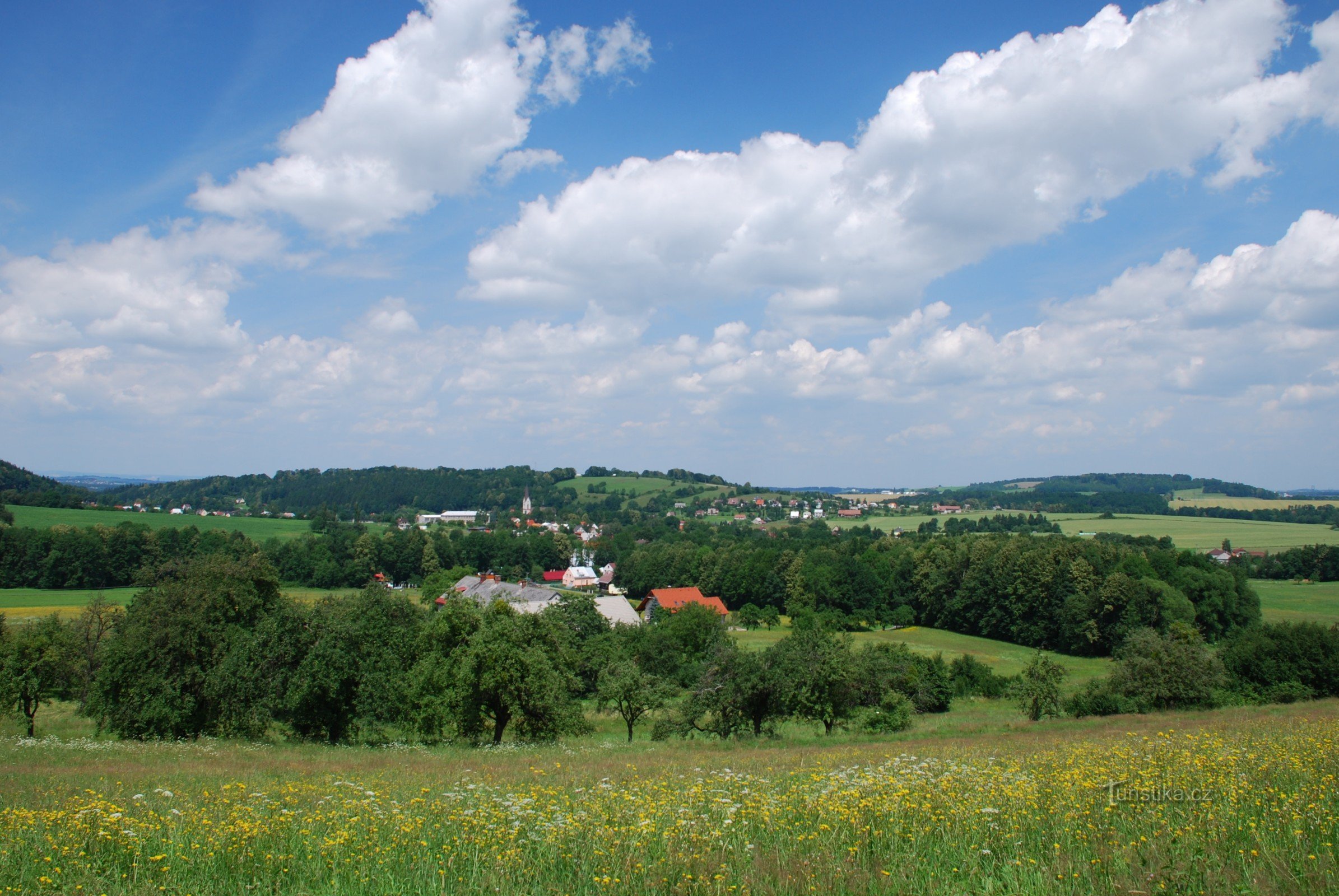 查看在 Janovice 的草地上