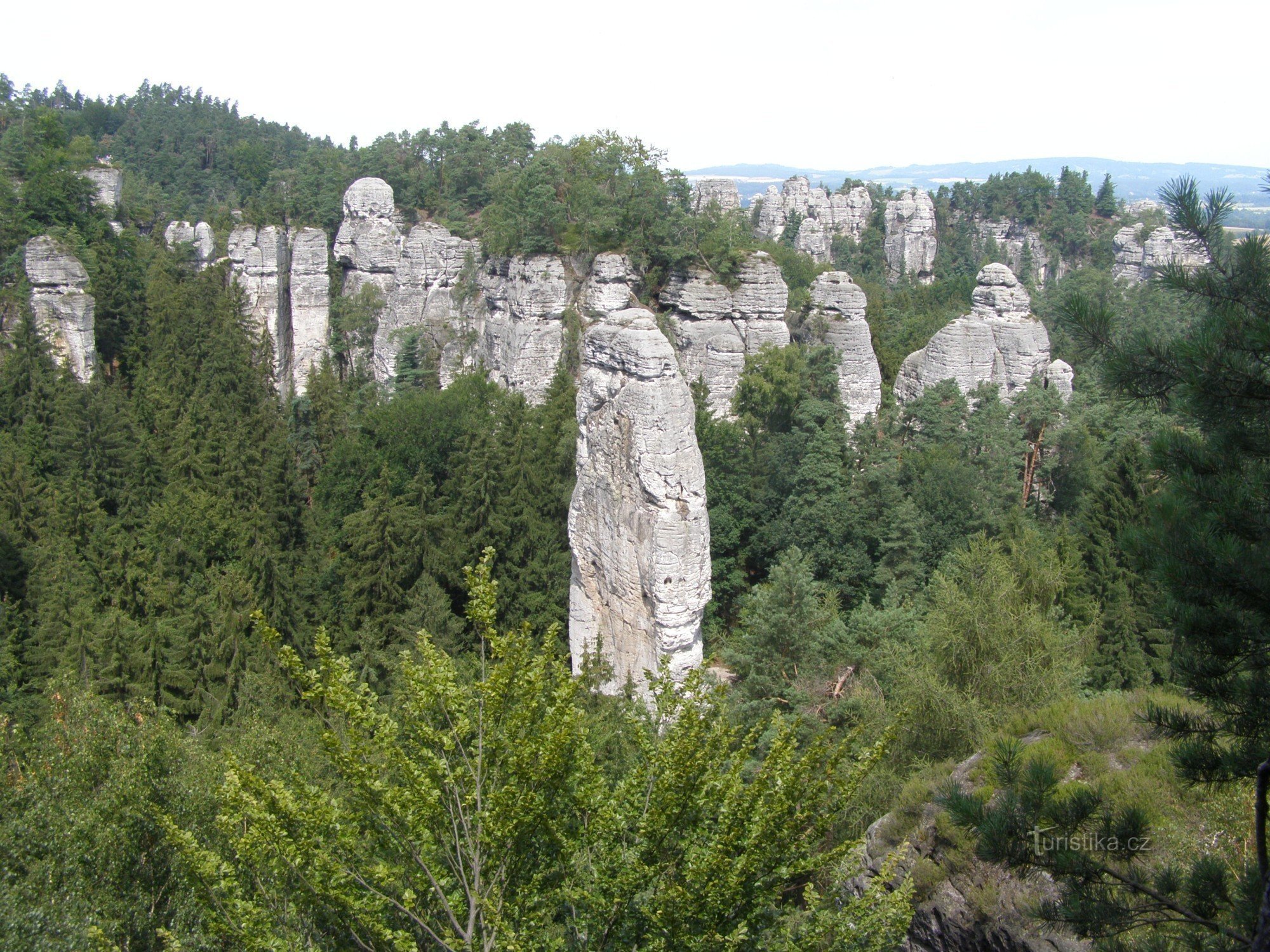 Vue du groupe