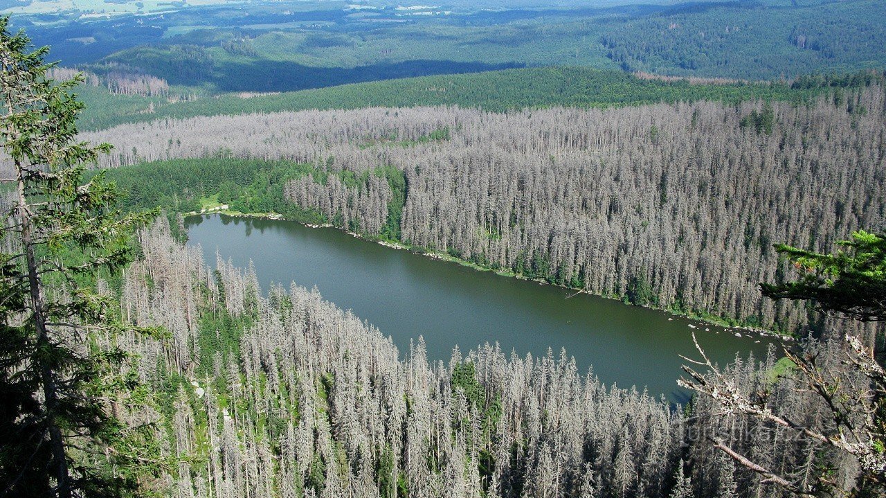 Näkymä Plešné-järvelle