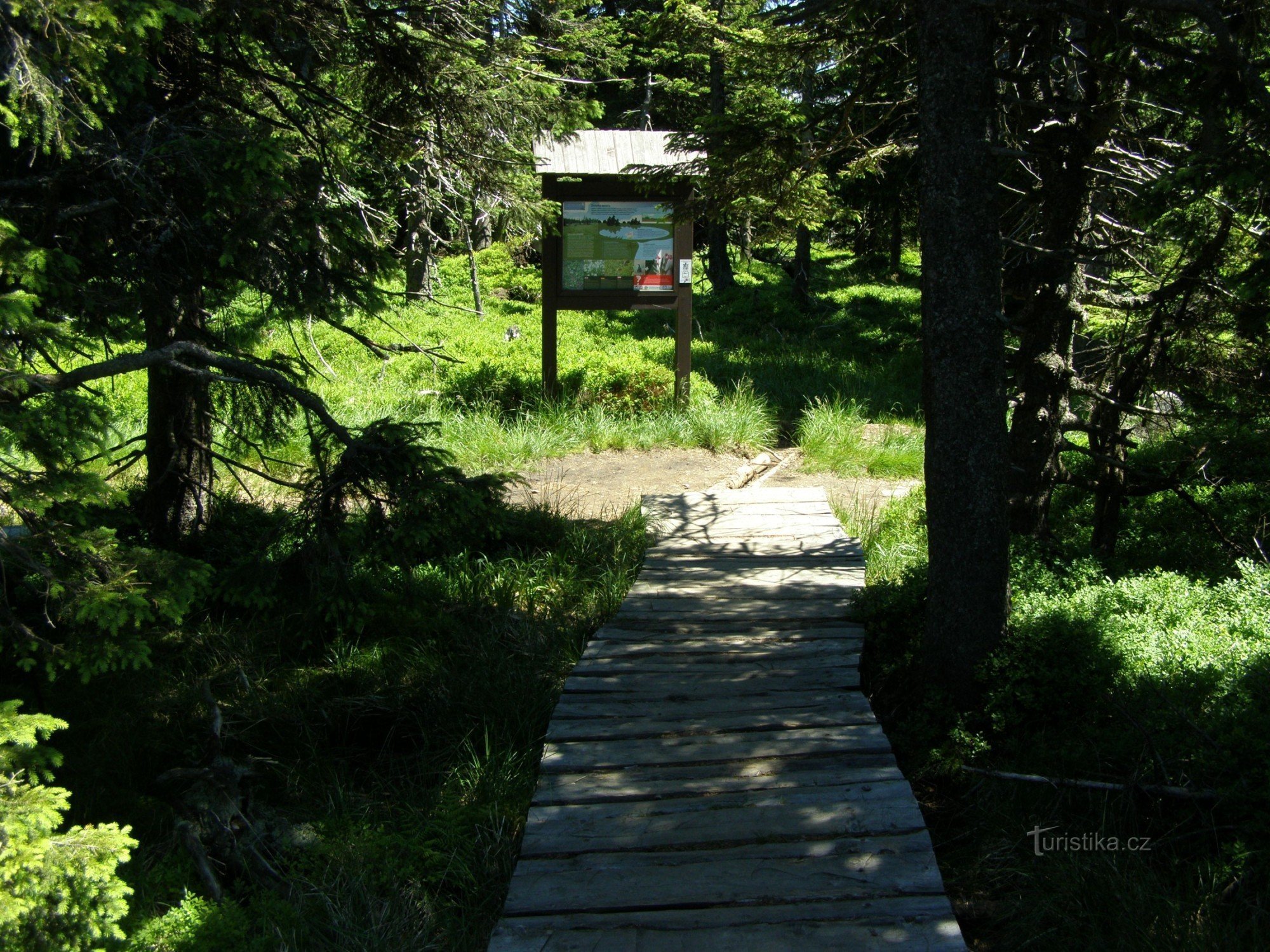 view of Rašeliniste pod Keprník