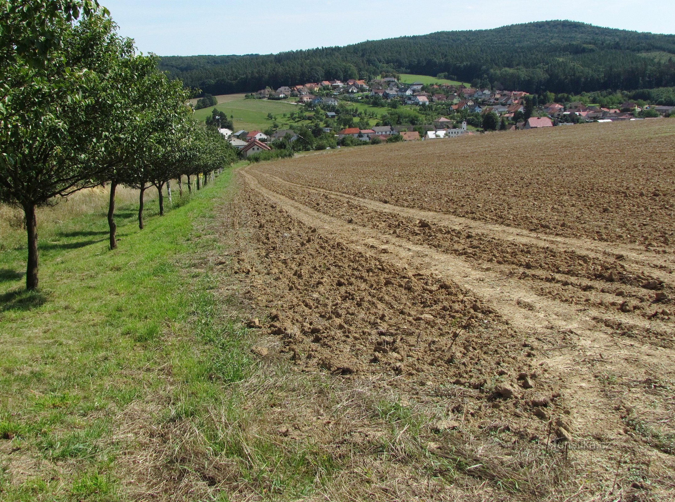 View of Zadní vrch