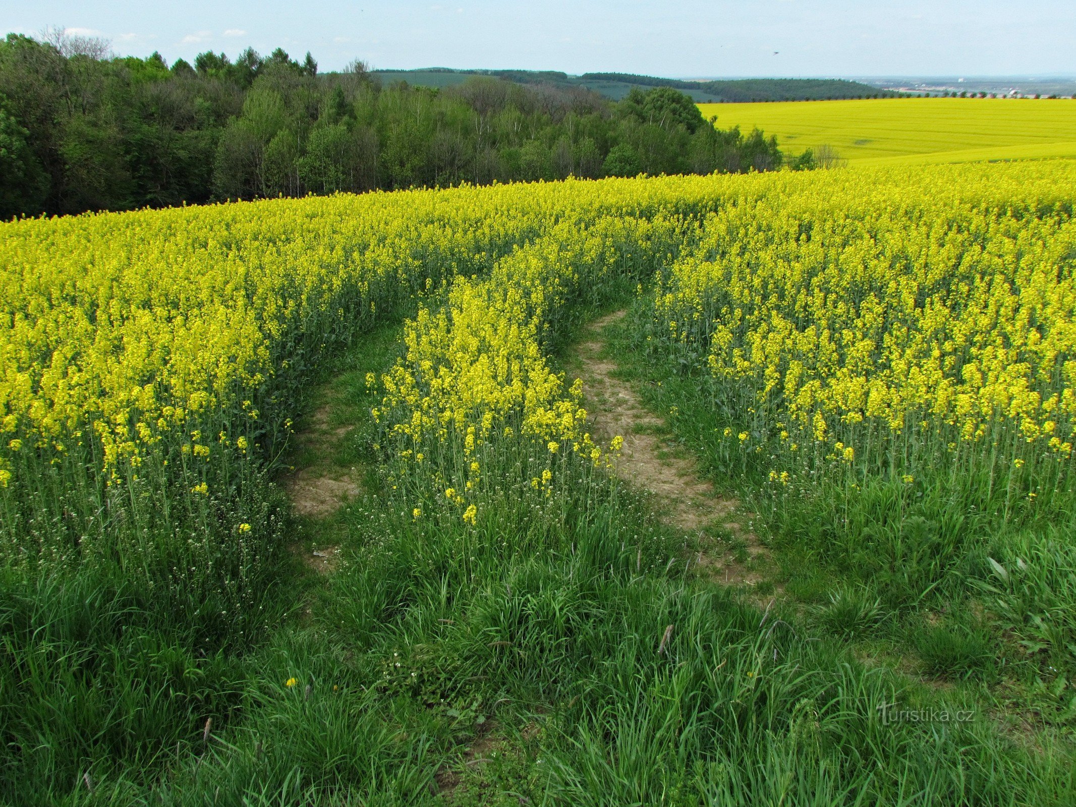 Belvédère à Nové Dědina