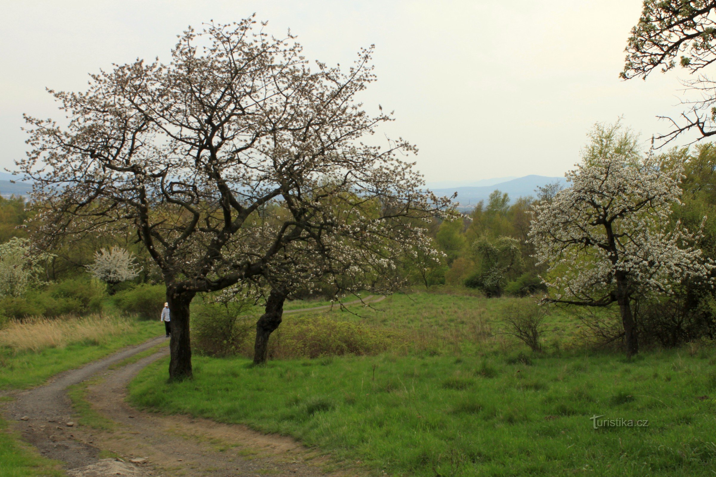 Pogled s Knetla