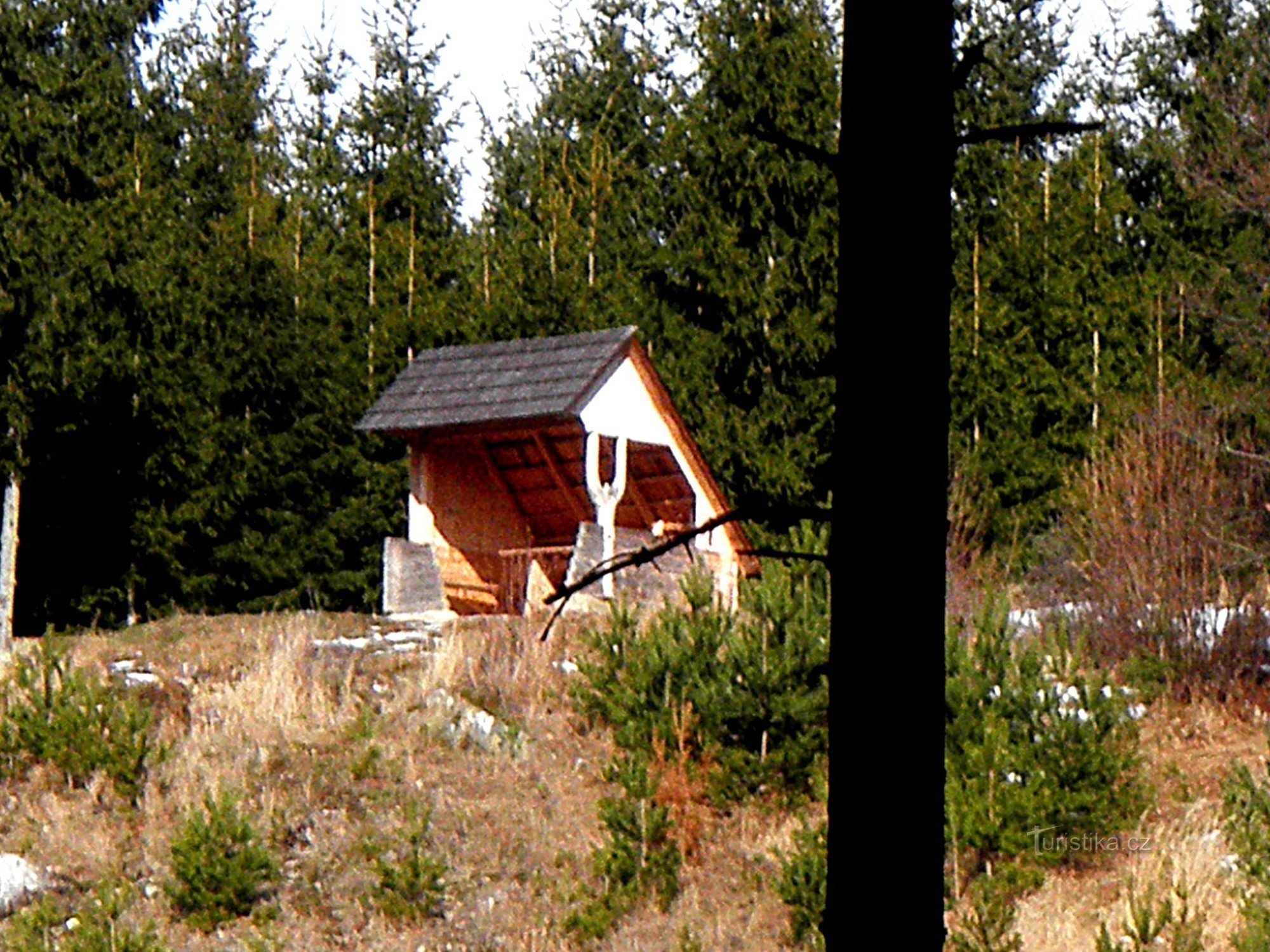 Uitzicht vanuit het tegenoverliggende bos