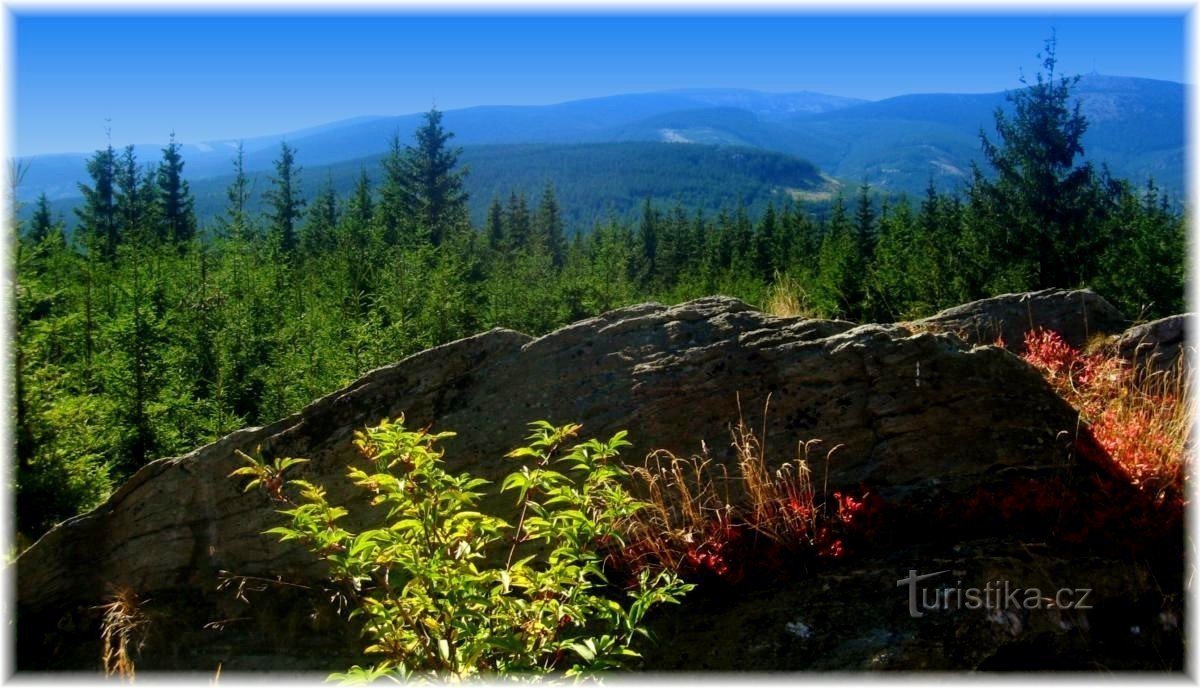 Vue depuis Žárové vrch à Jeseníky