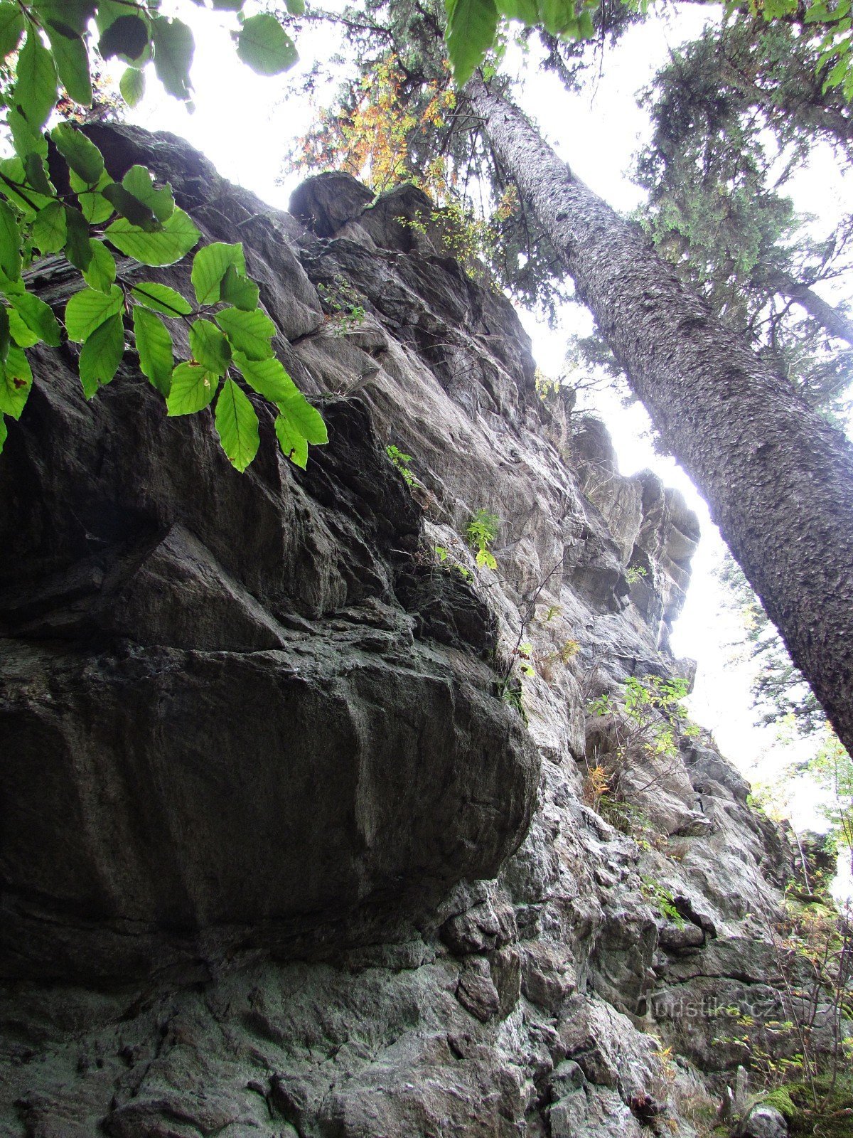 Kilátó szikla Dobřečovská hora alatt