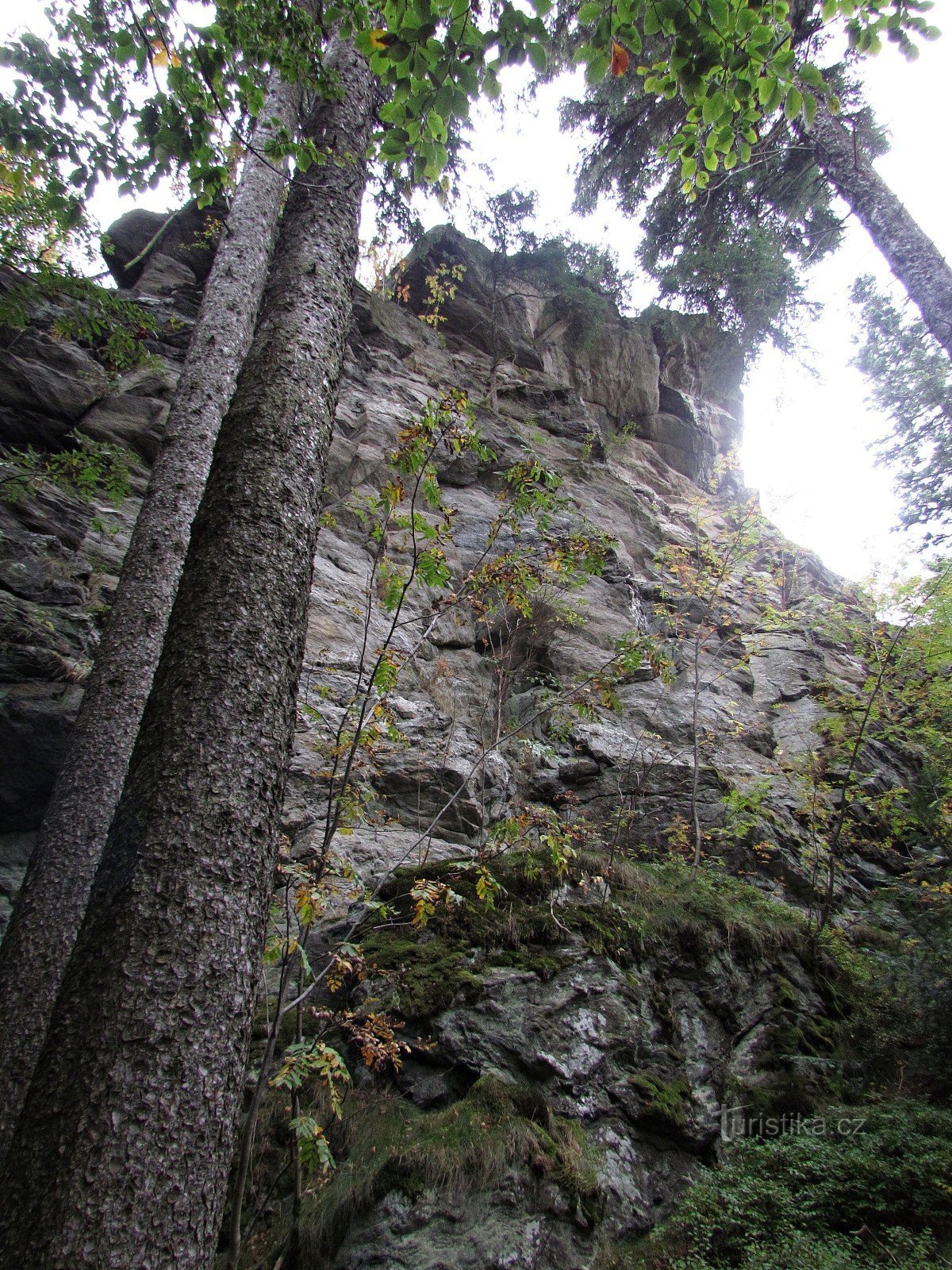Kilátó szikla Dobřečovská hora alatt