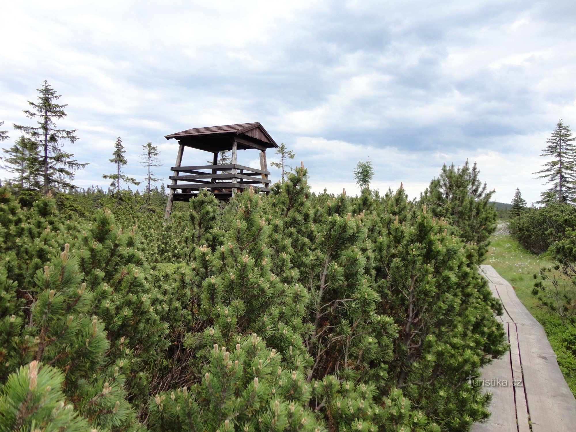 Lookout tower on the Montenegrin peatland