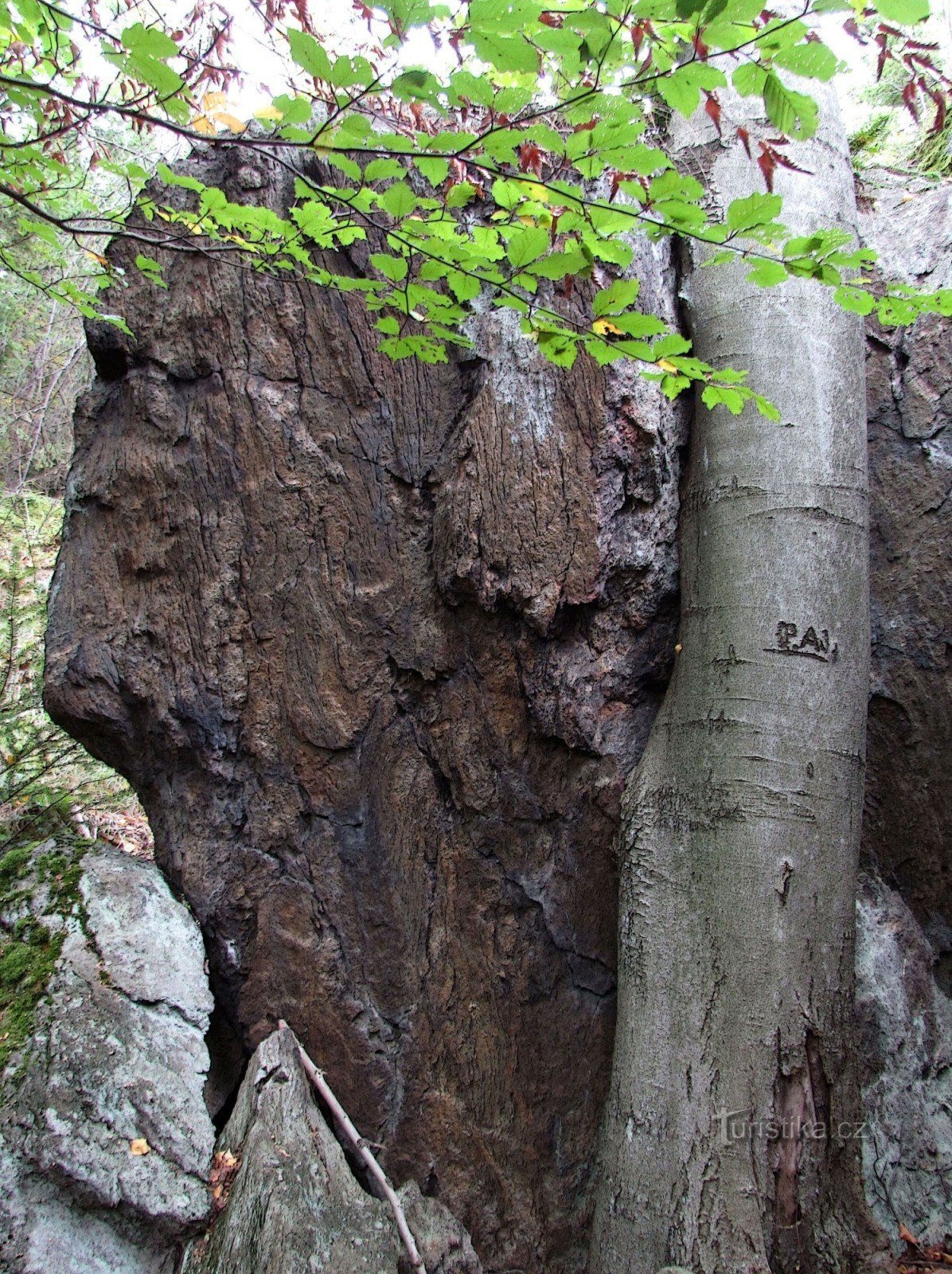 Mirador de rocas de Bear Stone