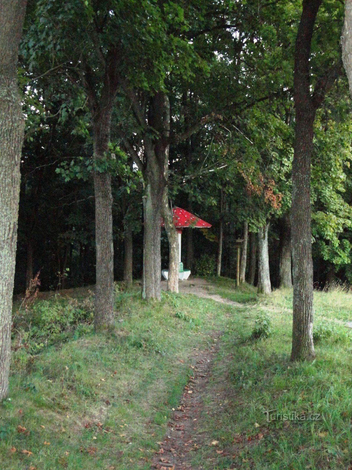 Pont d'observation de Mochomurka