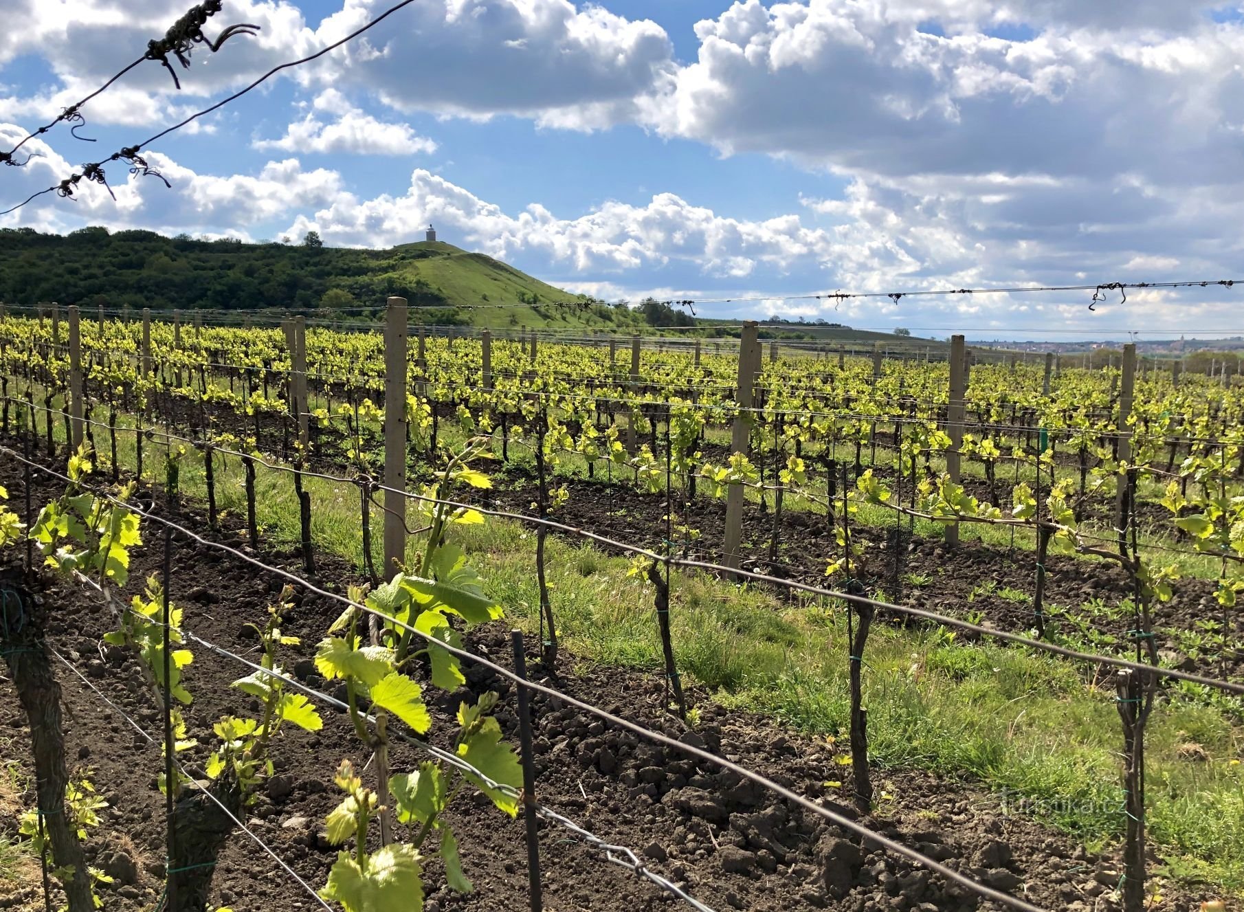 Evita la corsa dei turisti e conosci la Moravia in modo diverso!