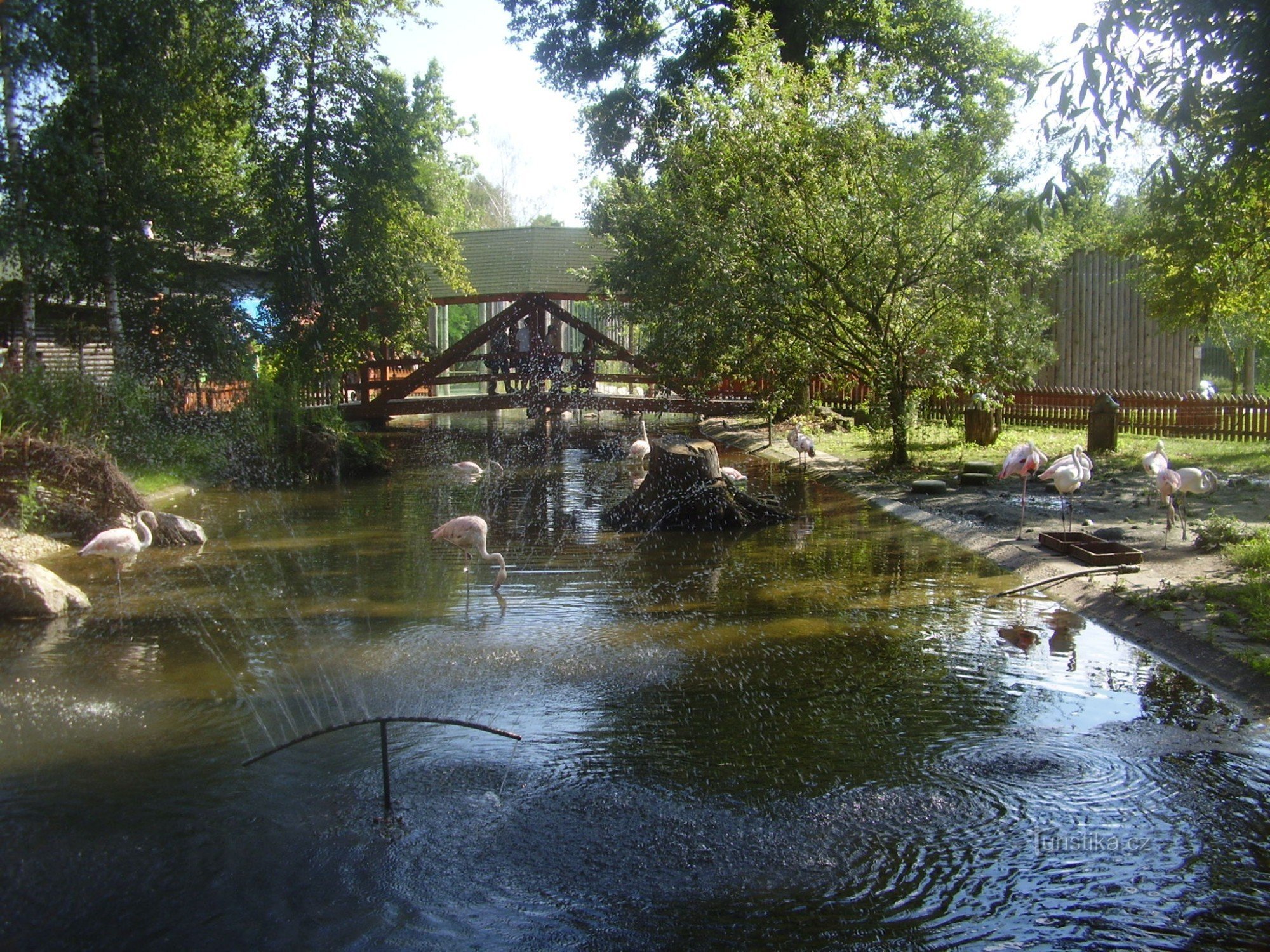 Chuyến đi đến ZOO ở Hodonín