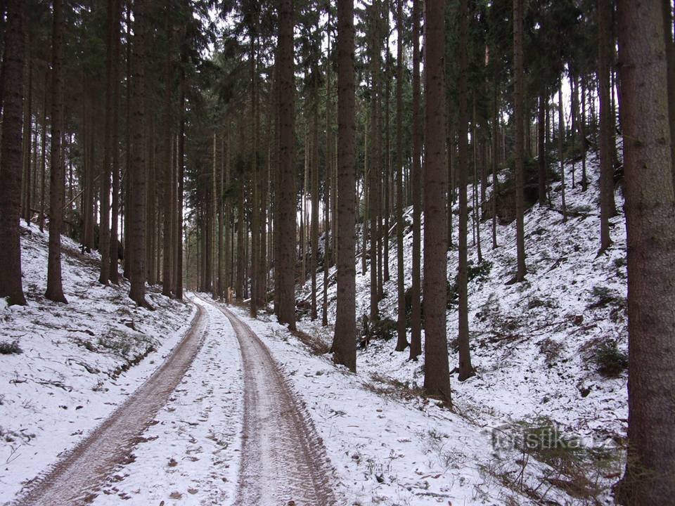 Екскурсія в Бранденбурзьку печеру