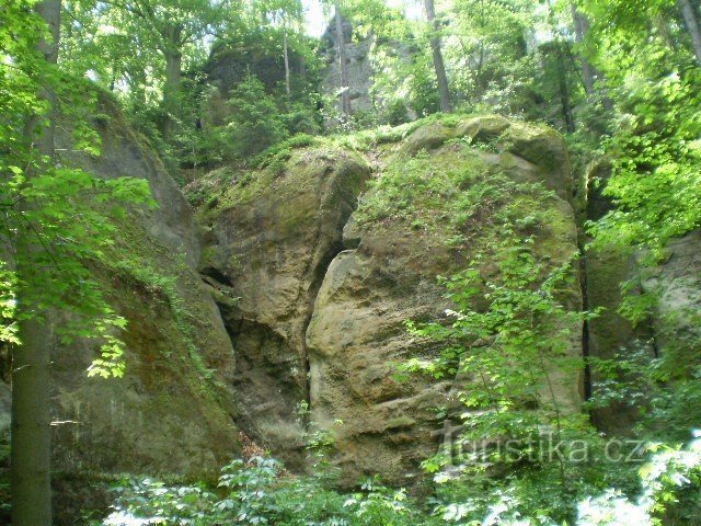 matka Kokoříniin