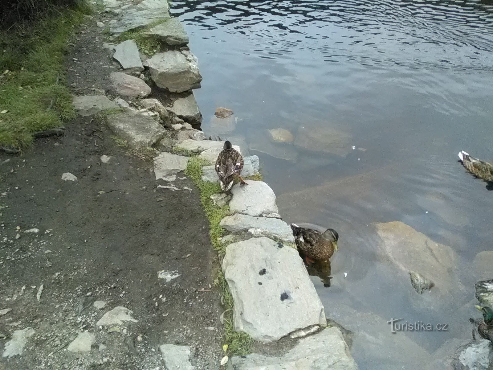 Matka Prášilské-järvelle