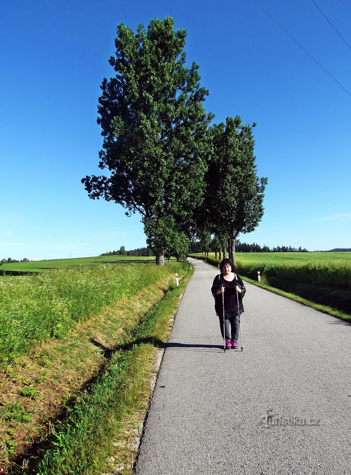 Tur til de romantiske ruiner af Landštejn