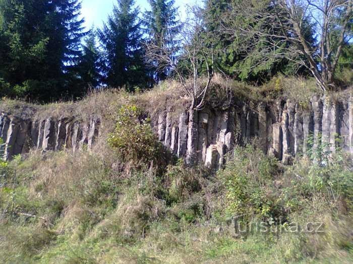 O excursie la orga de lângă Hlinek