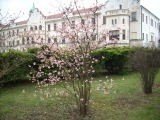 Excursión al castillo de Častolovice