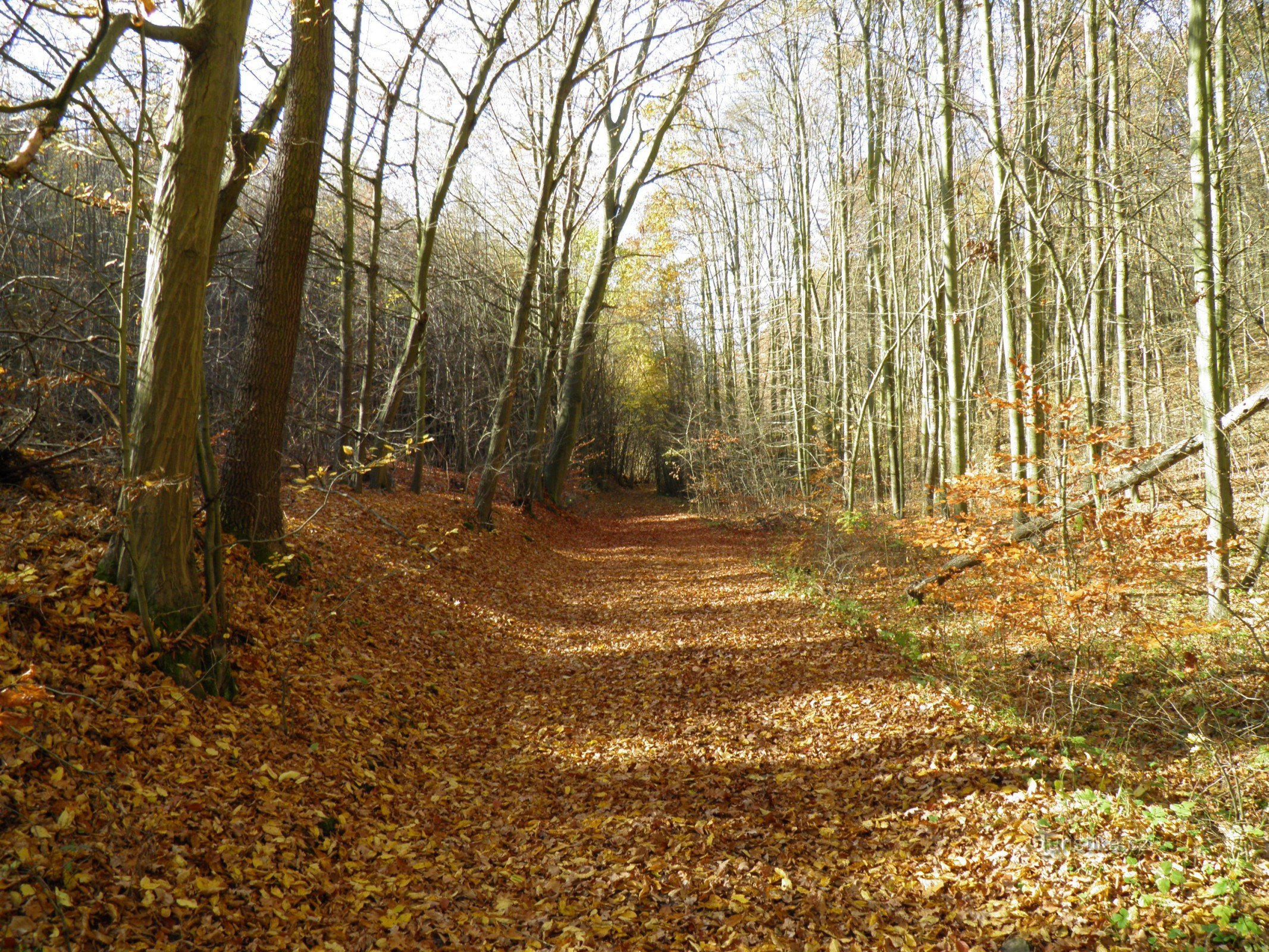 Viagem por Karlštejn.