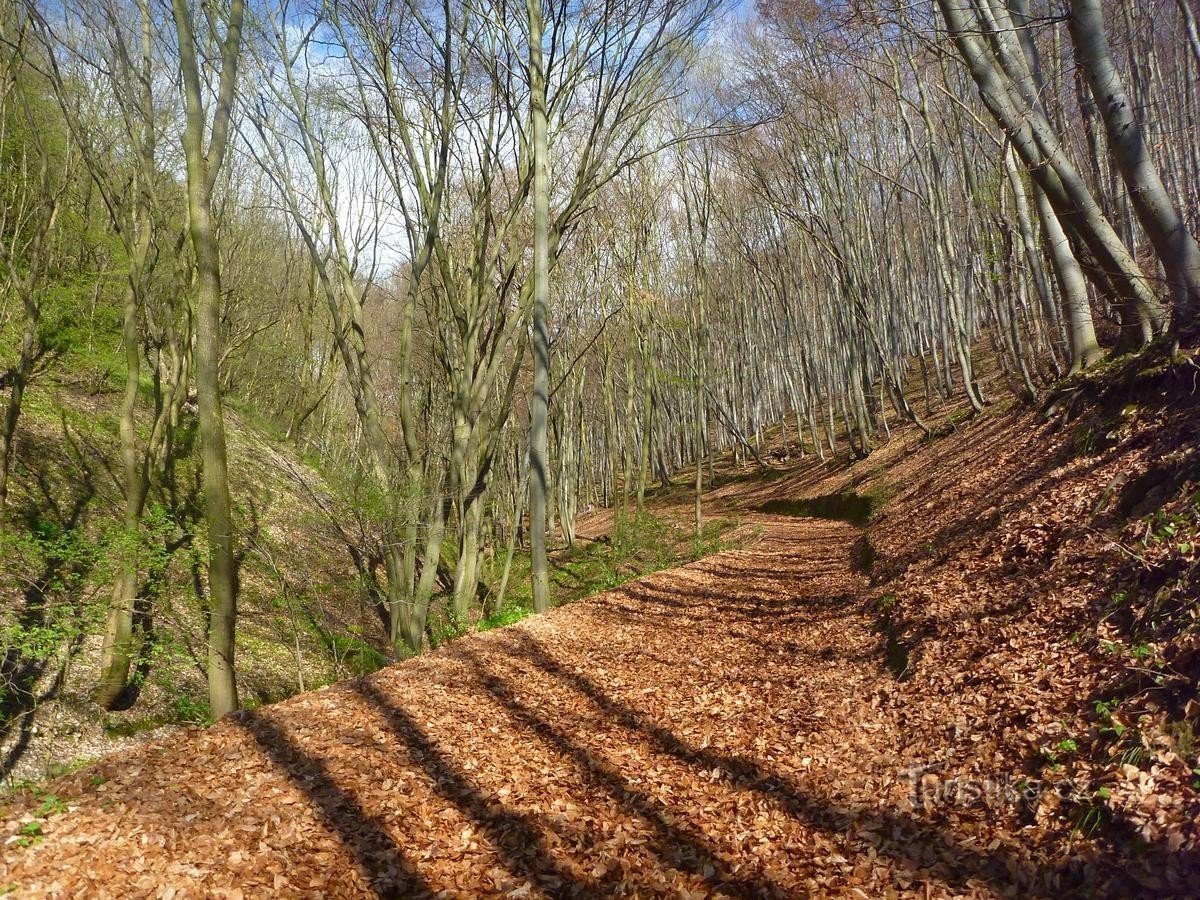 Izlet iz Černošic v Karlštejn - menhir v Morinki