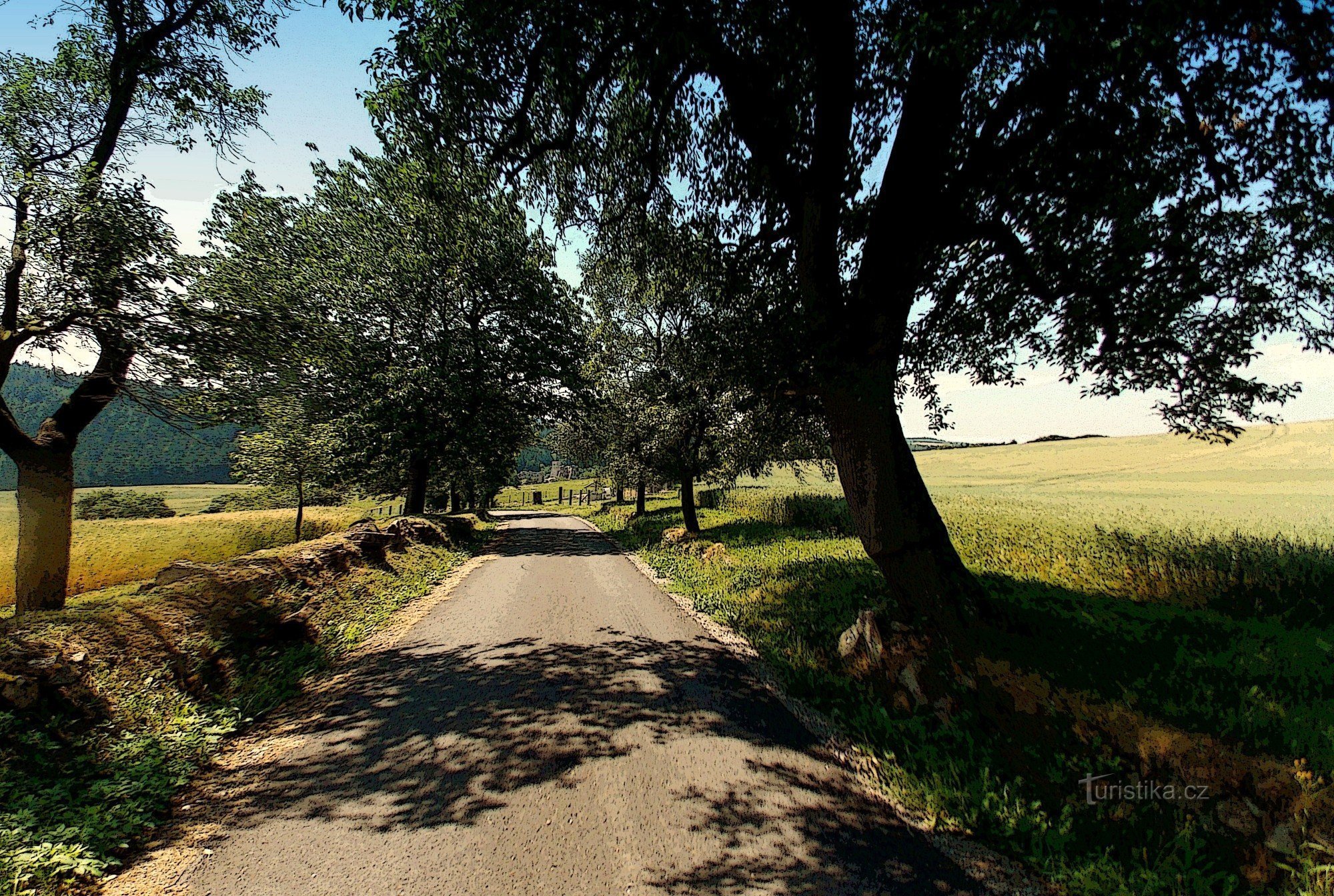 Excursão às ruínas do Castelo de Rokštejna em Vysočina