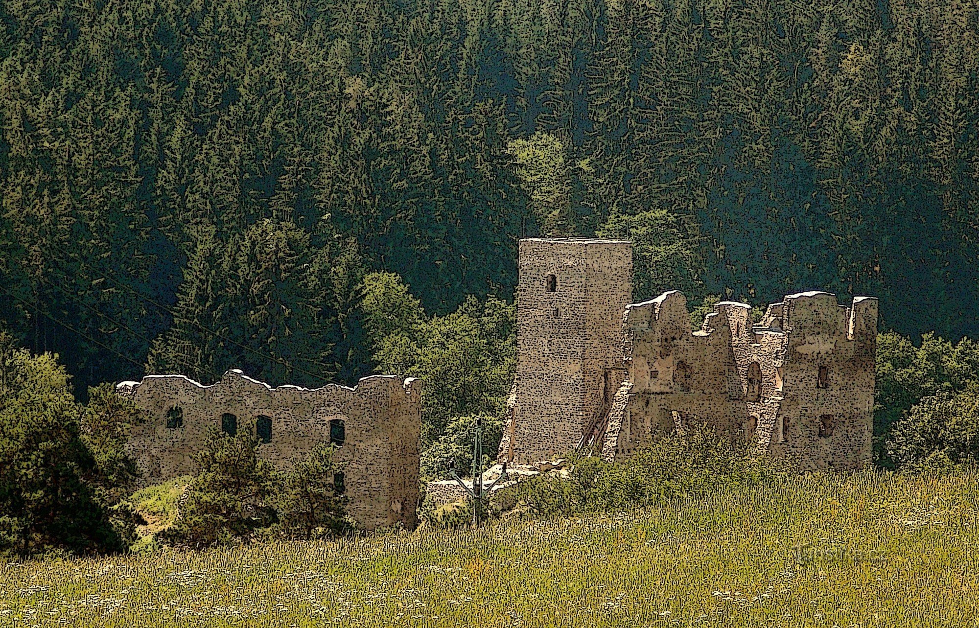 游览 Vysočina 的 Rokštejna 城堡遗址