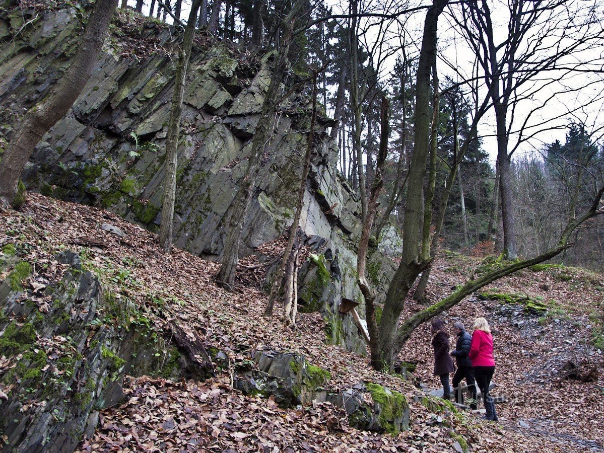 Touristes à la galerie