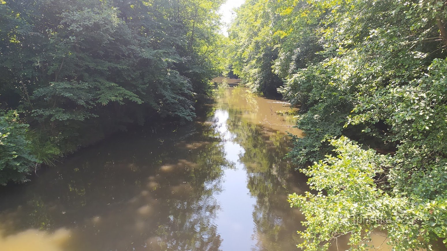 Izleti po Olomoucu z otroki - Sluňákov in Lovecká chata